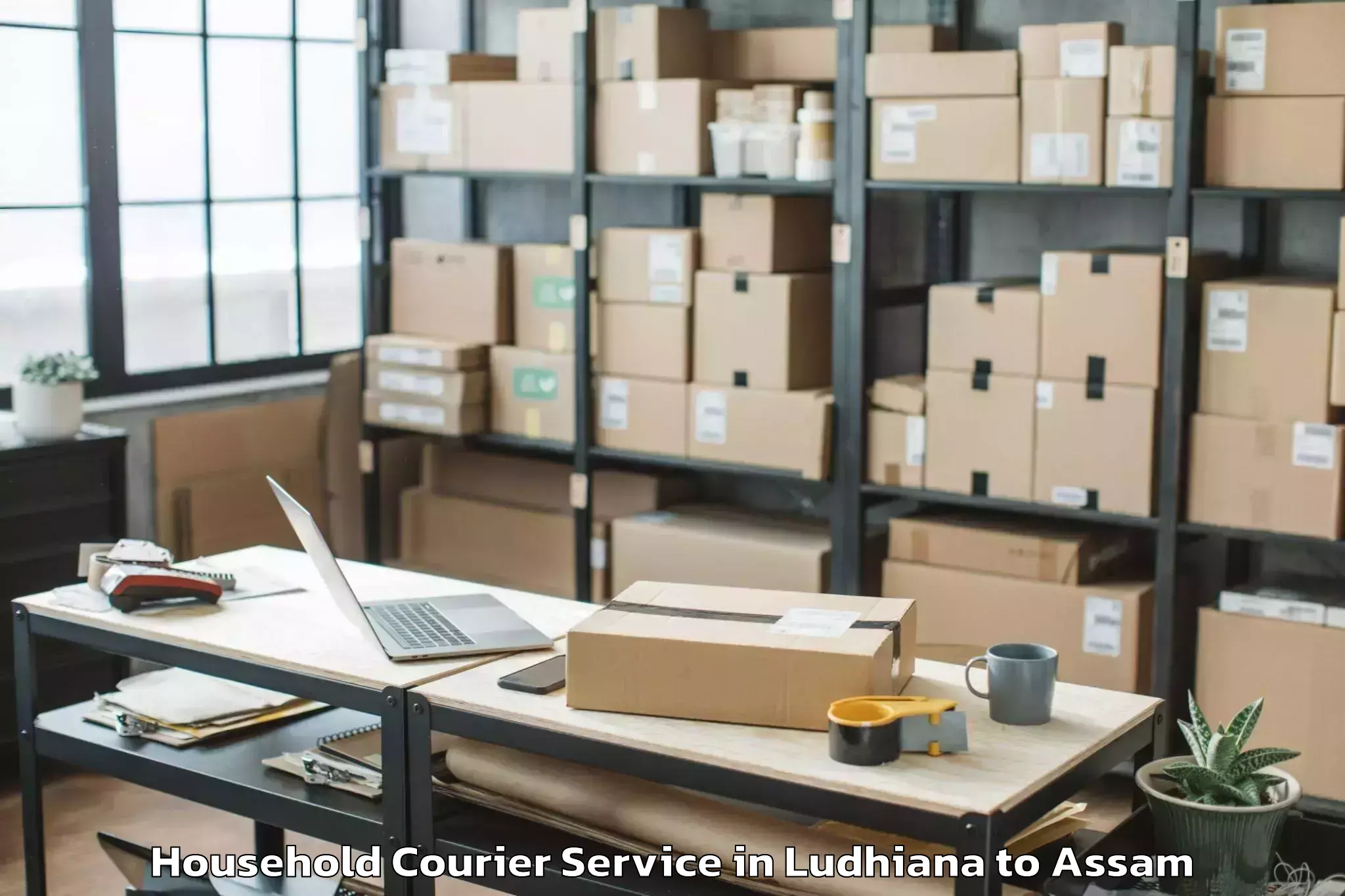 Easy Ludhiana to Silapathar Household Courier Booking